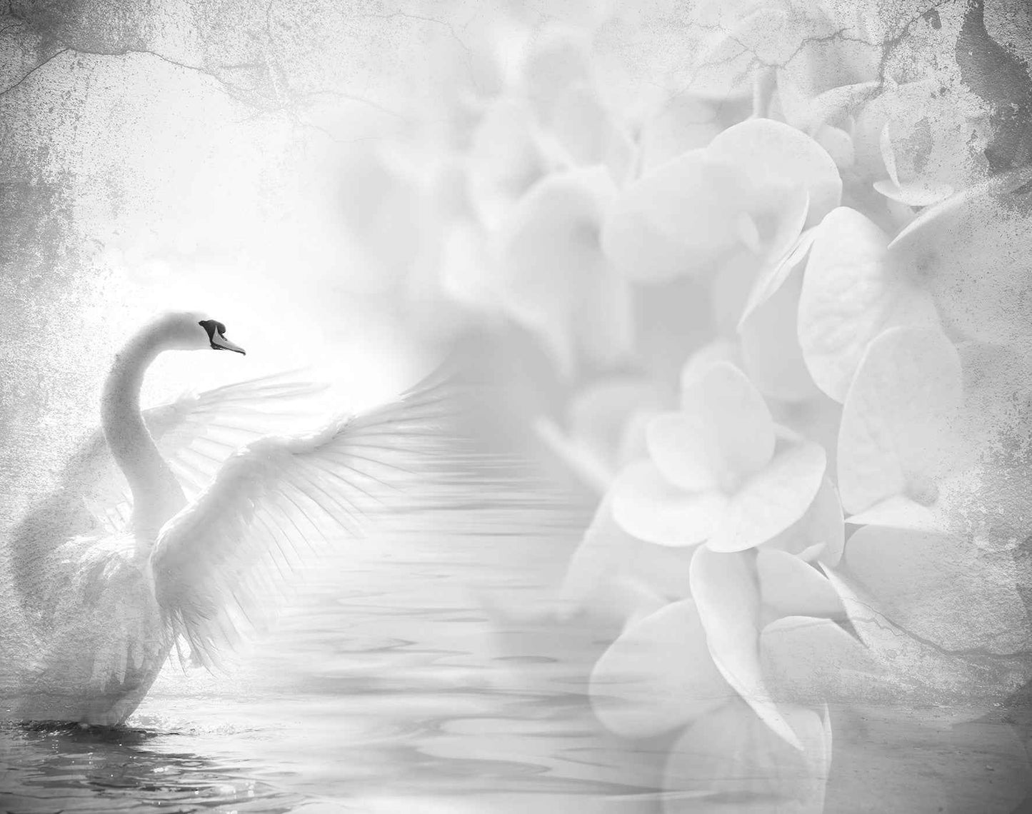 Lápida Cerámica Composición Fotográfica Personalizada CISNE
