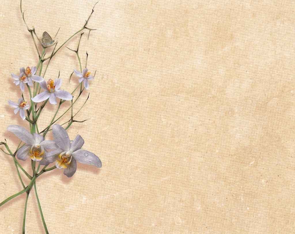 Lápida Cerámica con Fotografía Personalizada ORQUÍDEAS