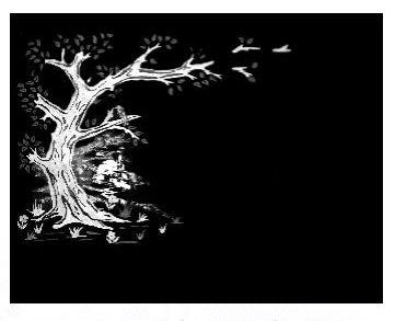 Árbol