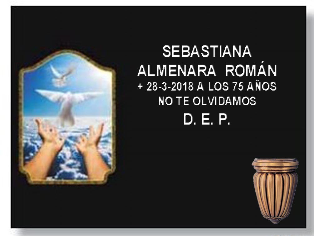 Vuelo de Palomas