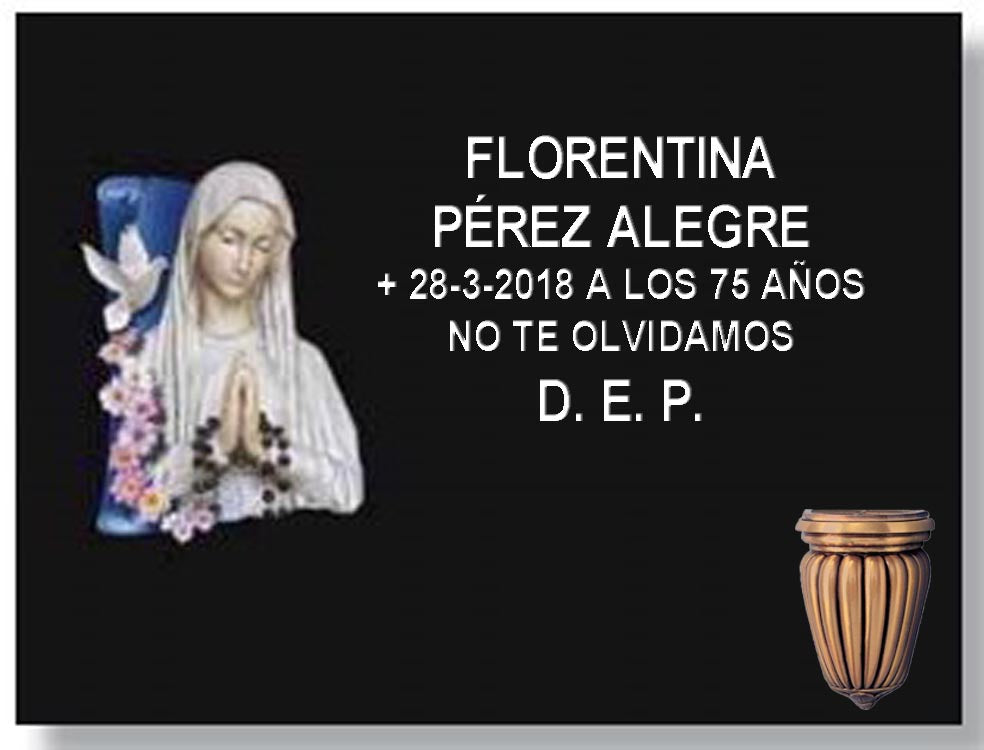 Virgen Inmaculada