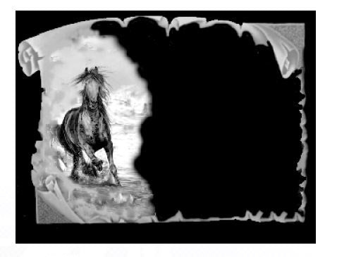 Caballo salvaje