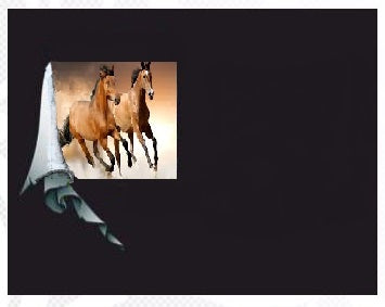 Caballos Salvajes