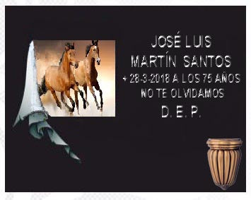 Caballos Salvajes