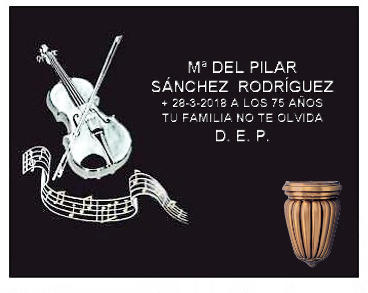 Violín