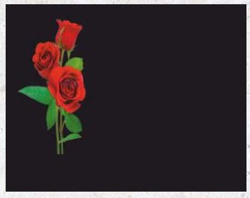 Ramo de Rosas