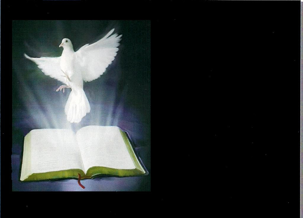 Paloma de la Paz y Biblia