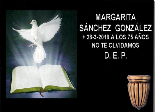 Paloma de la Paz y Biblia