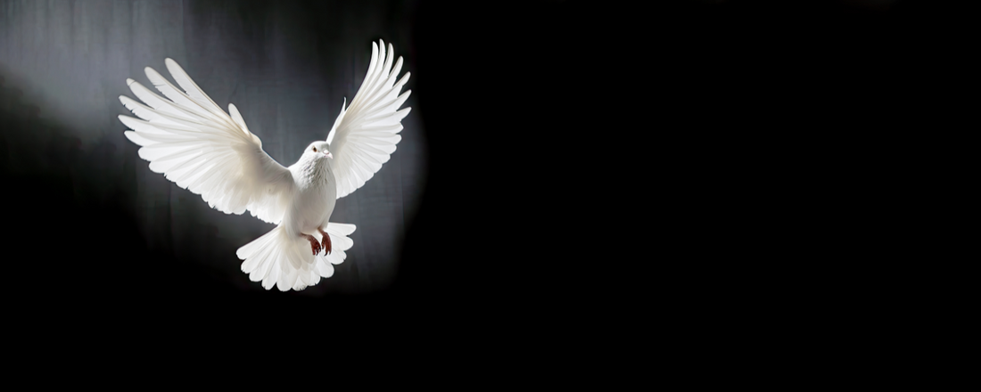 El significado de las palomas en el arte funerario