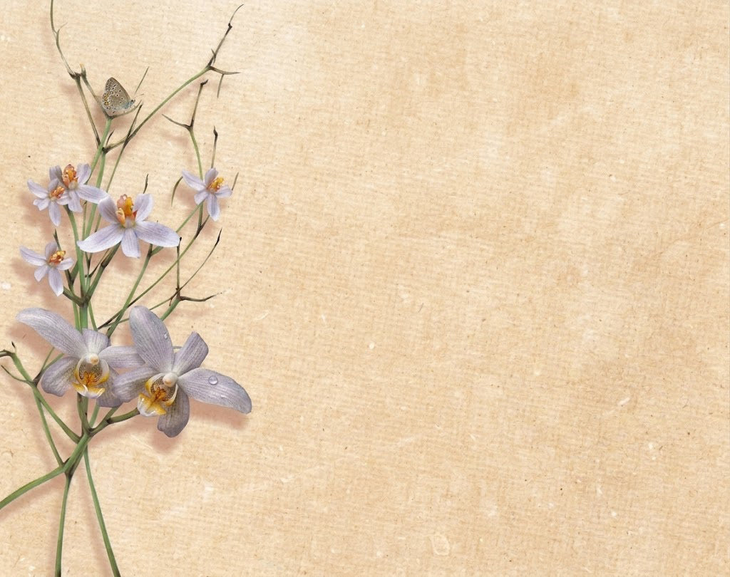Lápida Orquídeas dendrobium en tonos suaves sobre fondo claro, diseño floral emotivo que simboliza recuerdo, respeto y serenidad